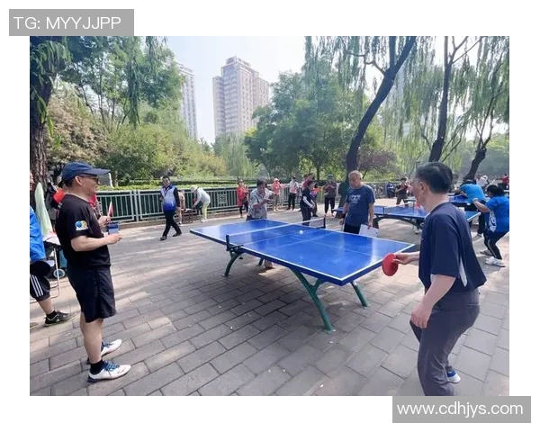 乒乓球专题：深入探讨杭州乒乓球队的速度与技巧训练之道