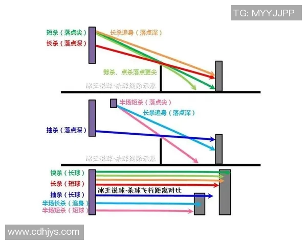 上海排球队的战术节奏解析与未来发展展望